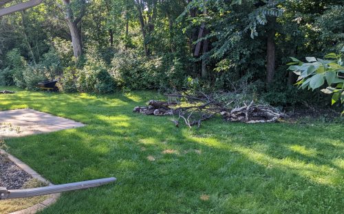 PXL_20220802_140710139